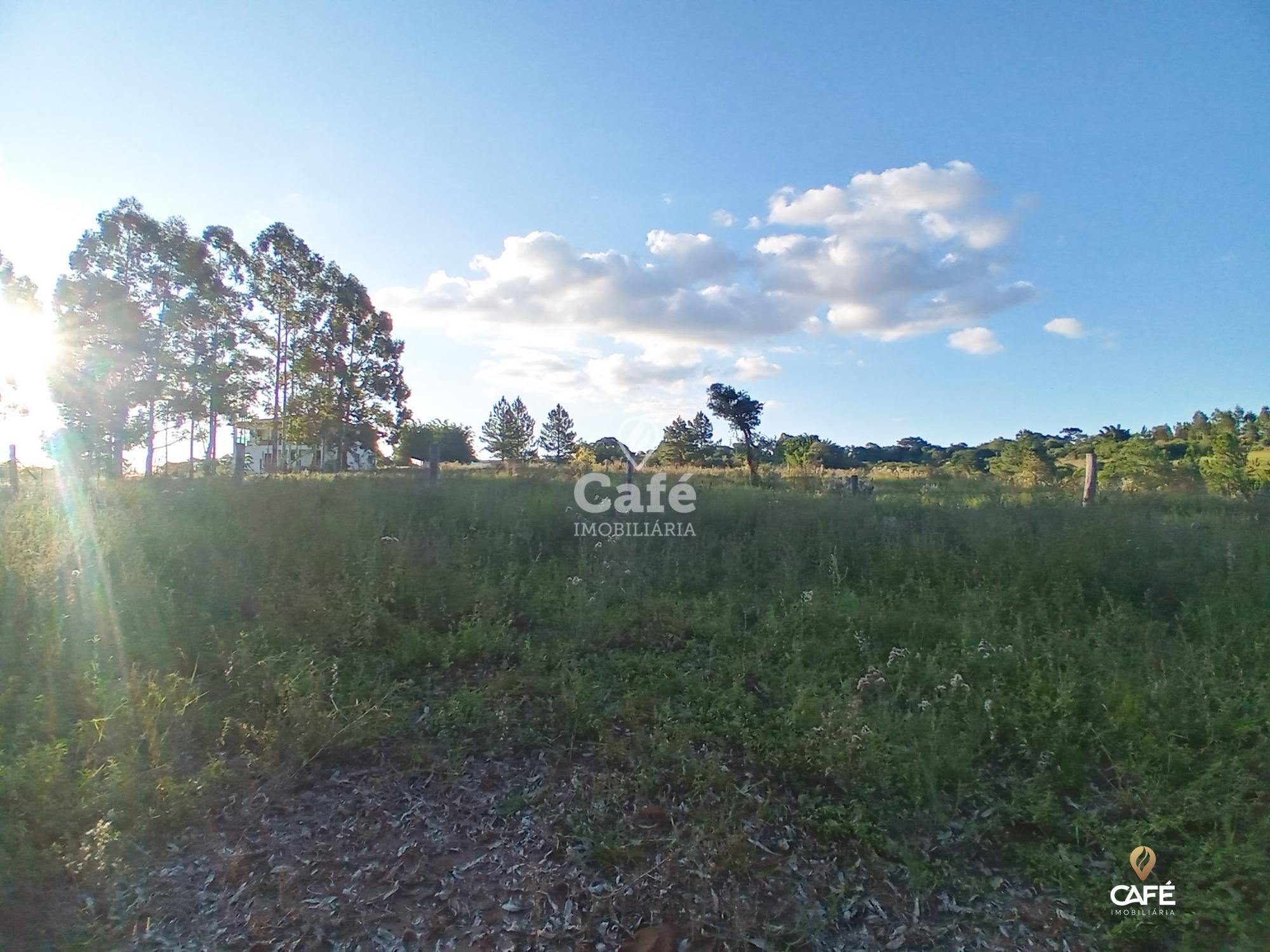 Fazenda à venda com 2 quartos, 350000000m² - Foto 4