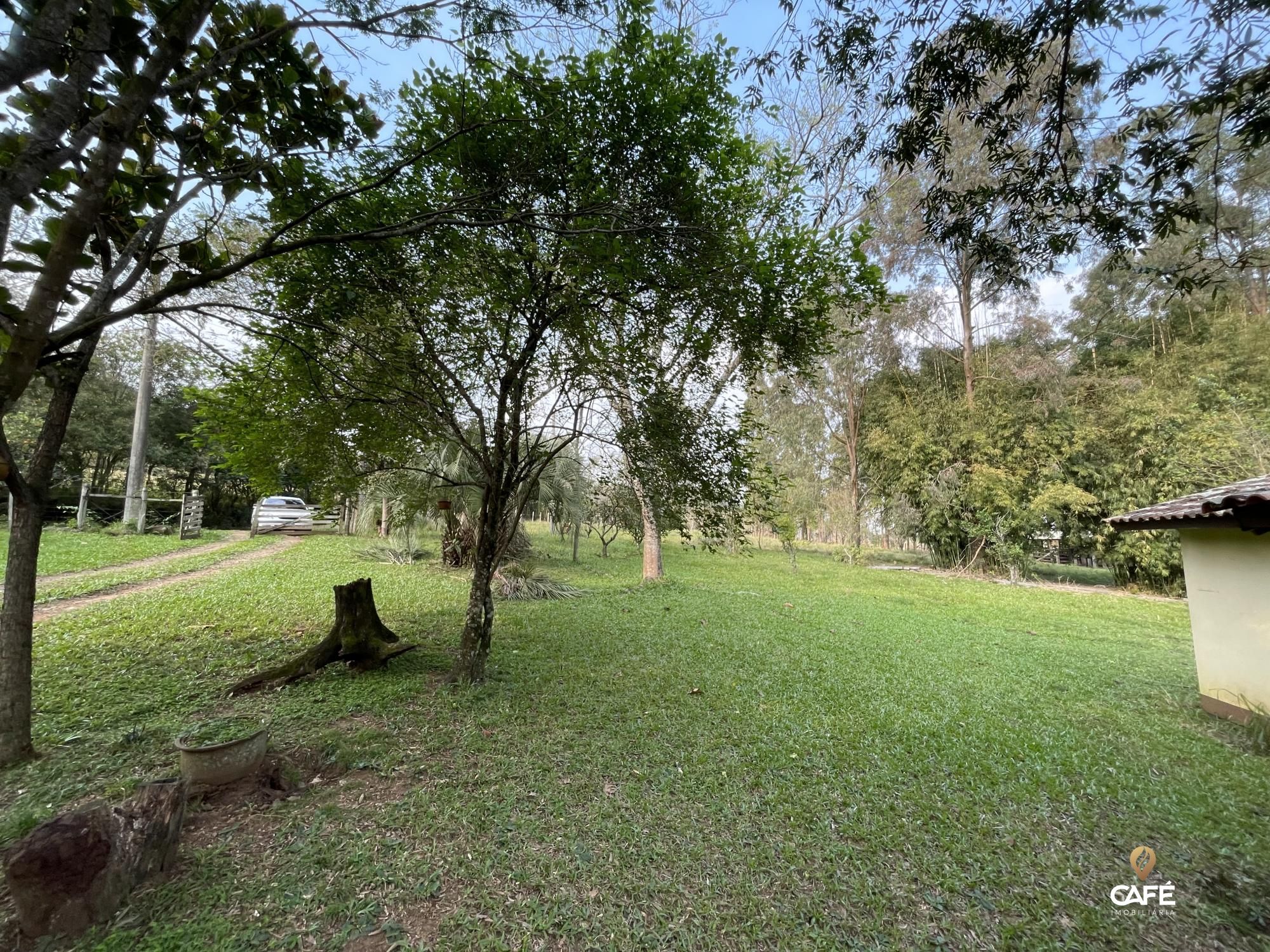 Fazenda à venda com 4 quartos, 240000m² - Foto 19