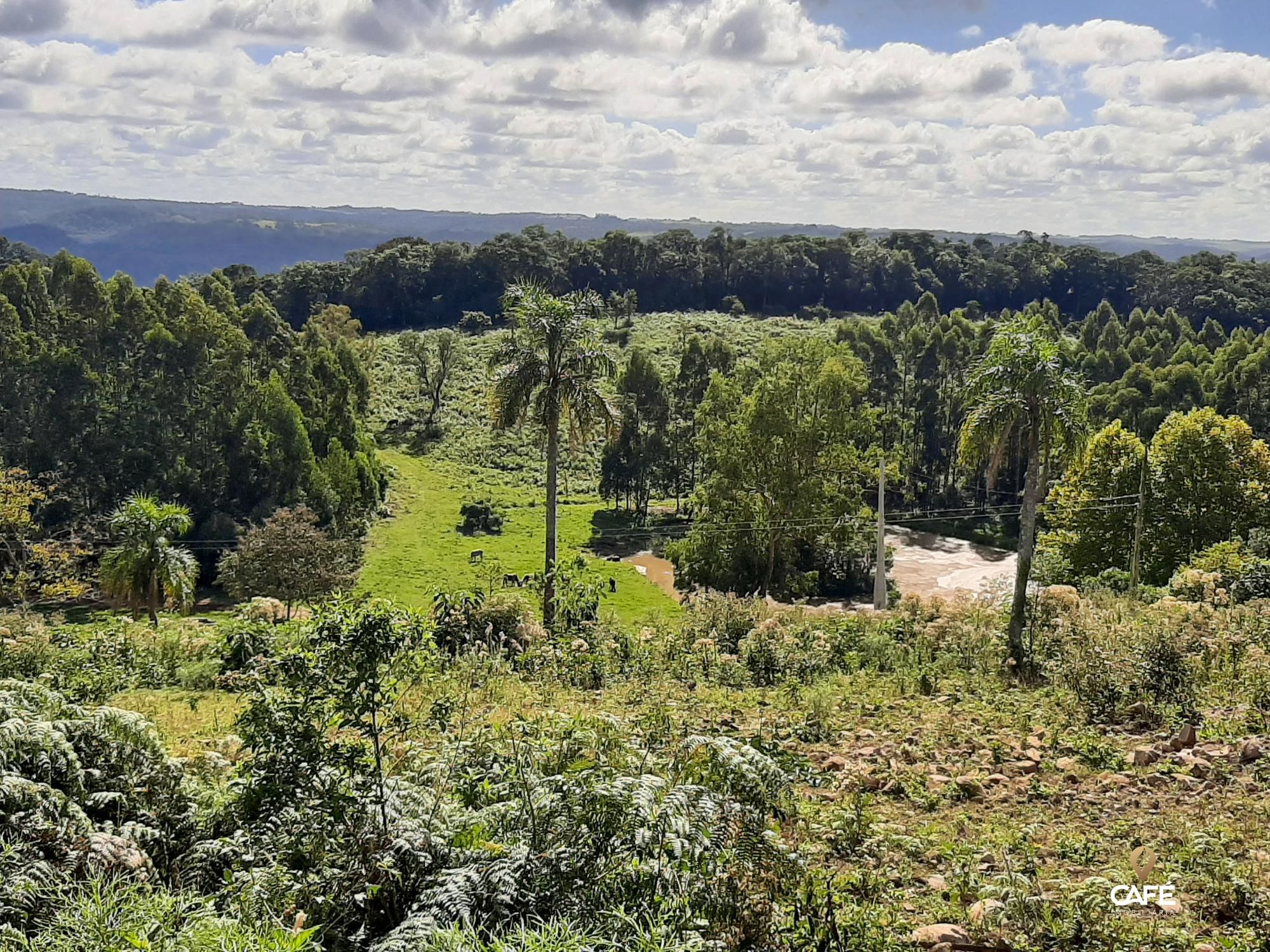 Loteamento e Condomínio à venda, 400000000m² - Foto 3