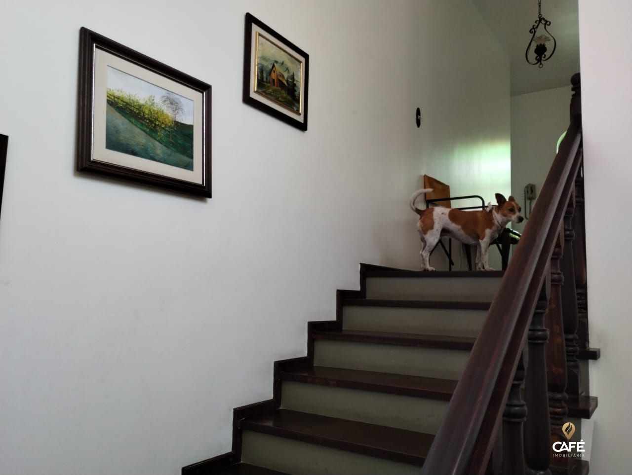 Casa, 5 quartos, 299 m² - Foto 14