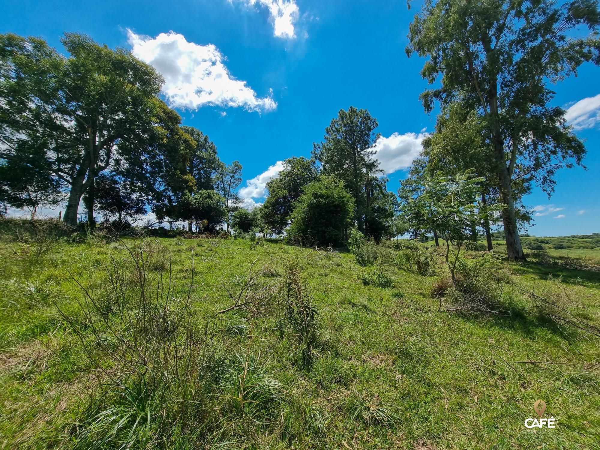 Loteamento e Condomínio à venda, 500000000m² - Foto 8