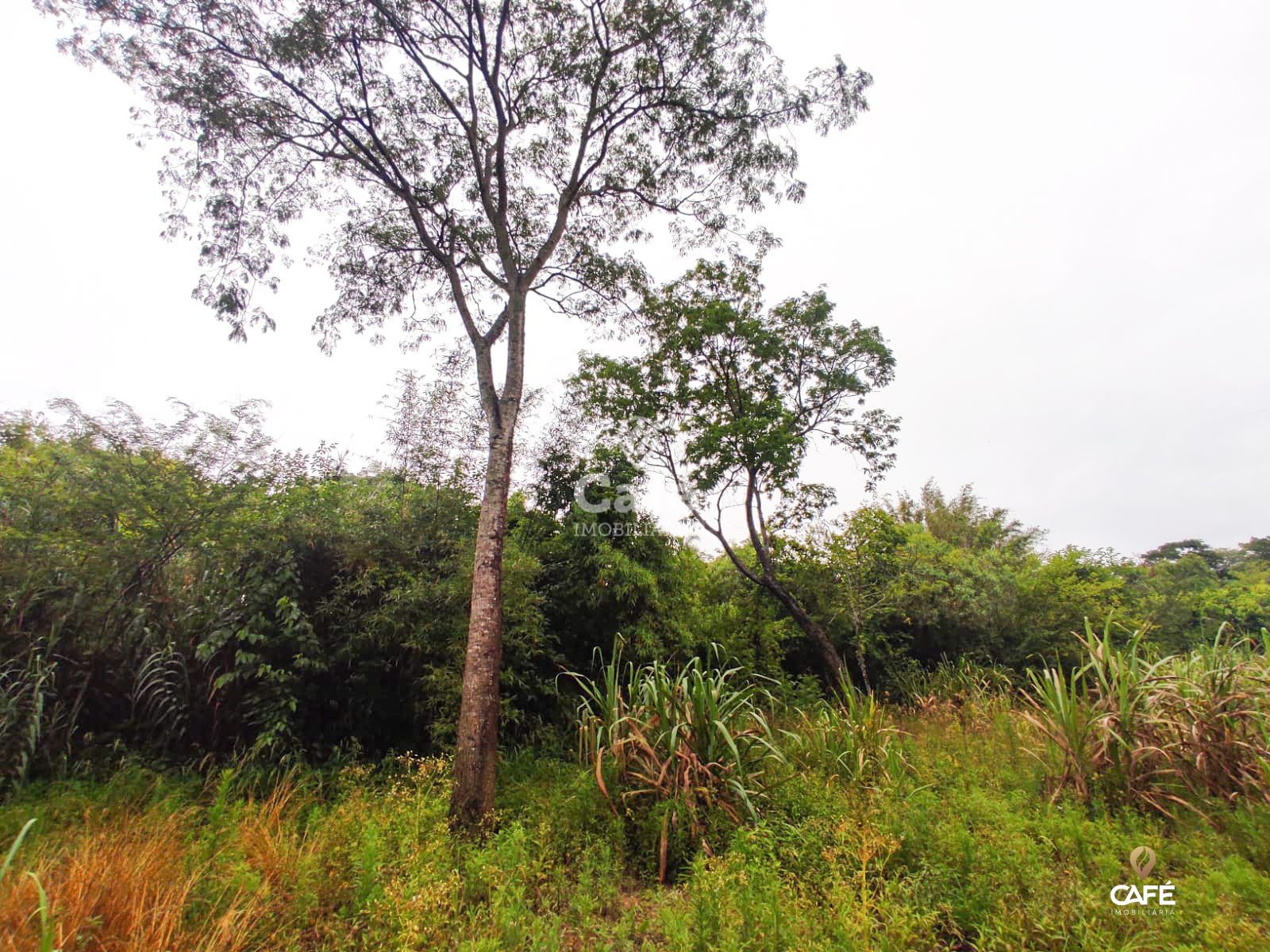 Terreno, 2534 m² - Foto 7