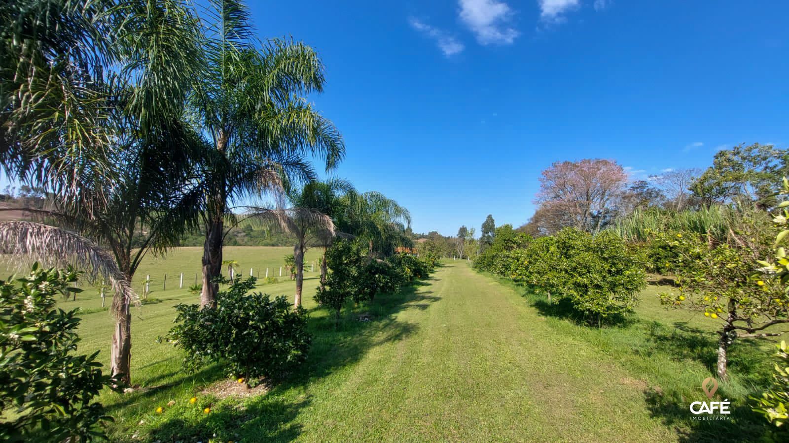 Fazenda à venda com 3 quartos, 190m² - Foto 27