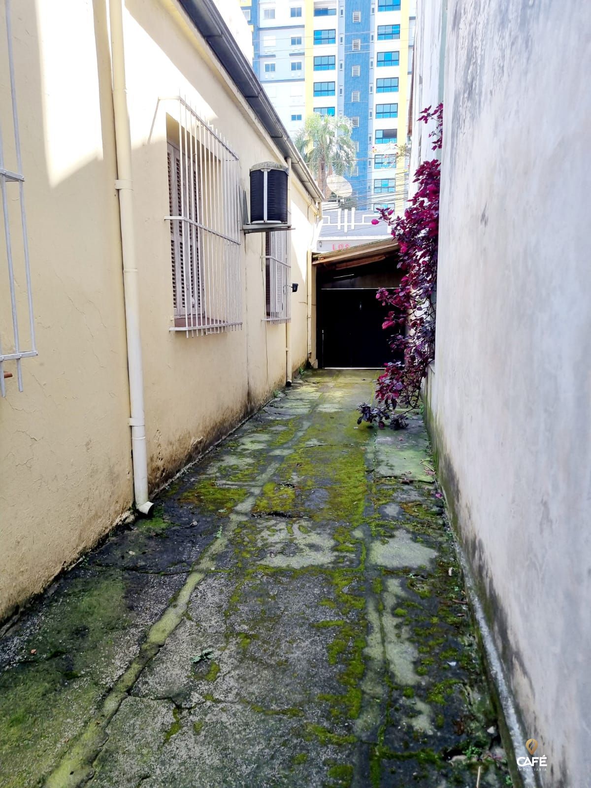 Casa, 3 quartos, 1152 m² - Foto 4