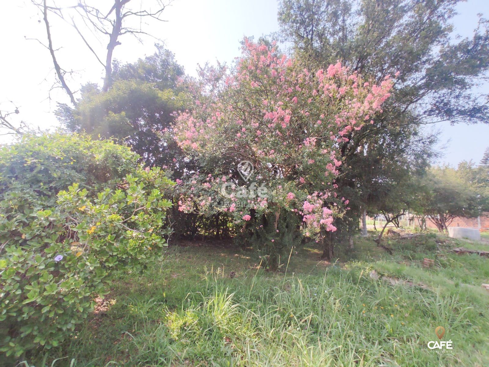 Terreno, 448 m² - Foto 4