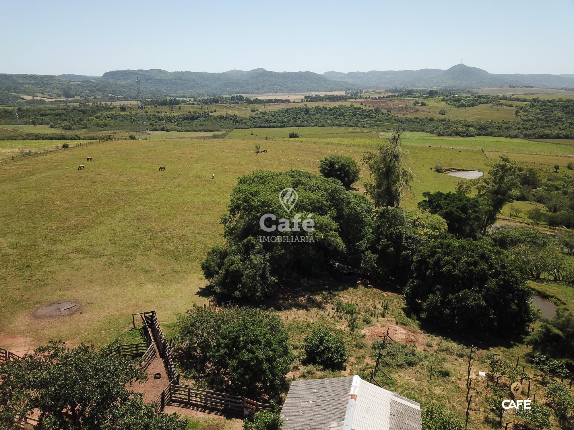 Fazenda à venda com 2 quartos, 180000m² - Foto 4