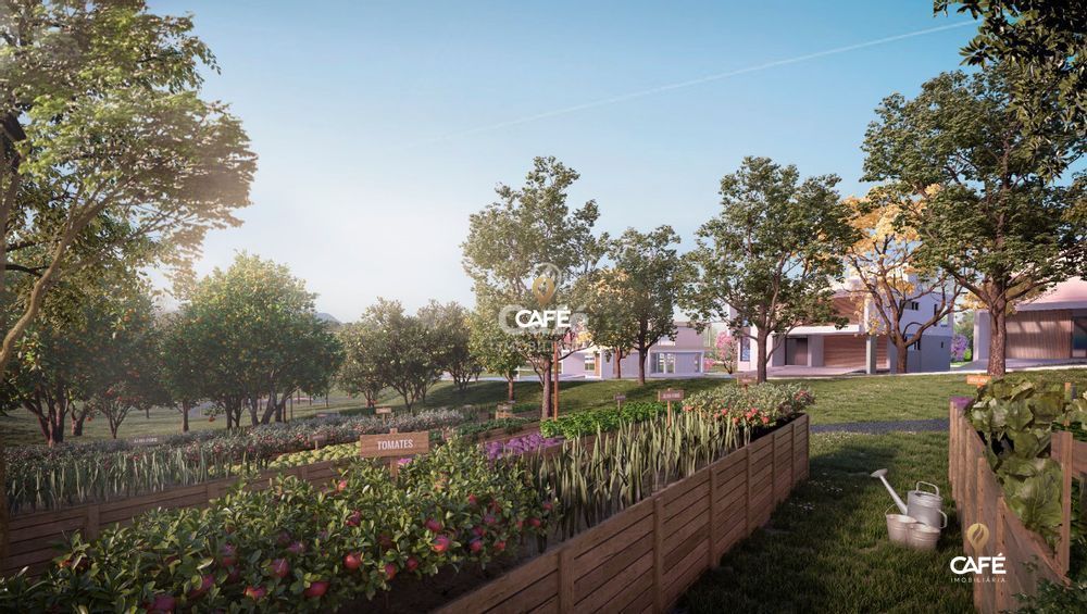 Terreno, 548 m² - Foto 5