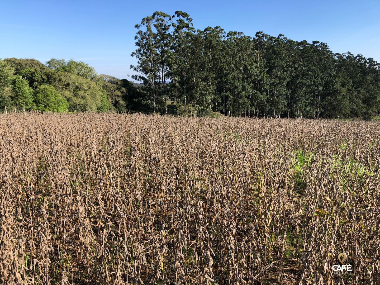 Loteamento e Condomínio à venda, 19000000000m² - Foto 1