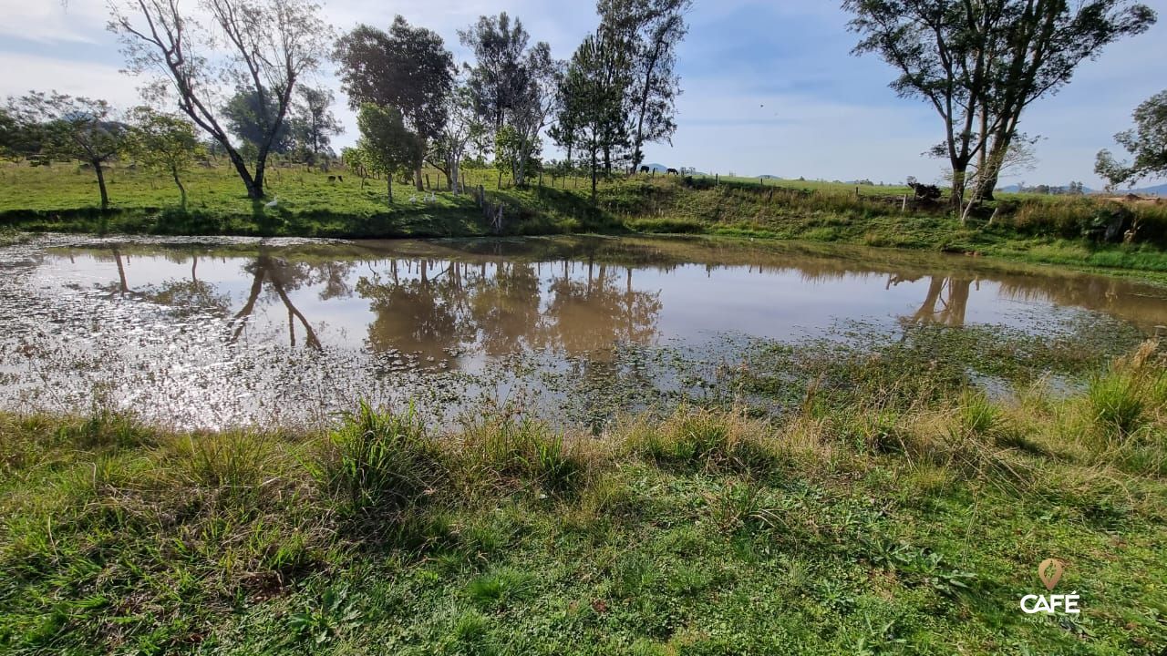 Fazenda à venda com 5 quartos, 422m² - Foto 38