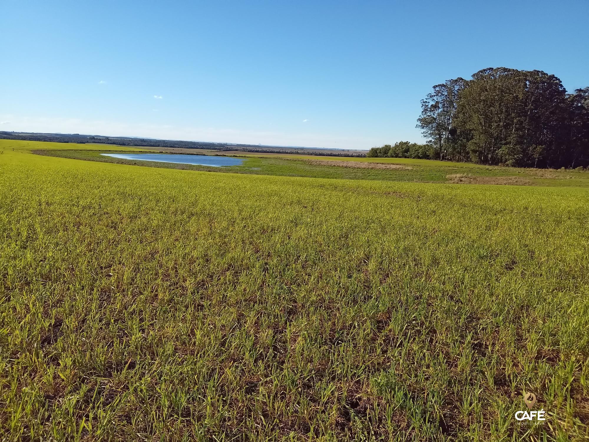 Loteamento e Condomínio à venda, 15200000000m² - Foto 23