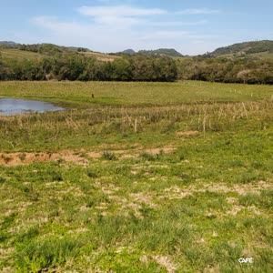 Fazenda à venda, 350000000m² - Foto 1