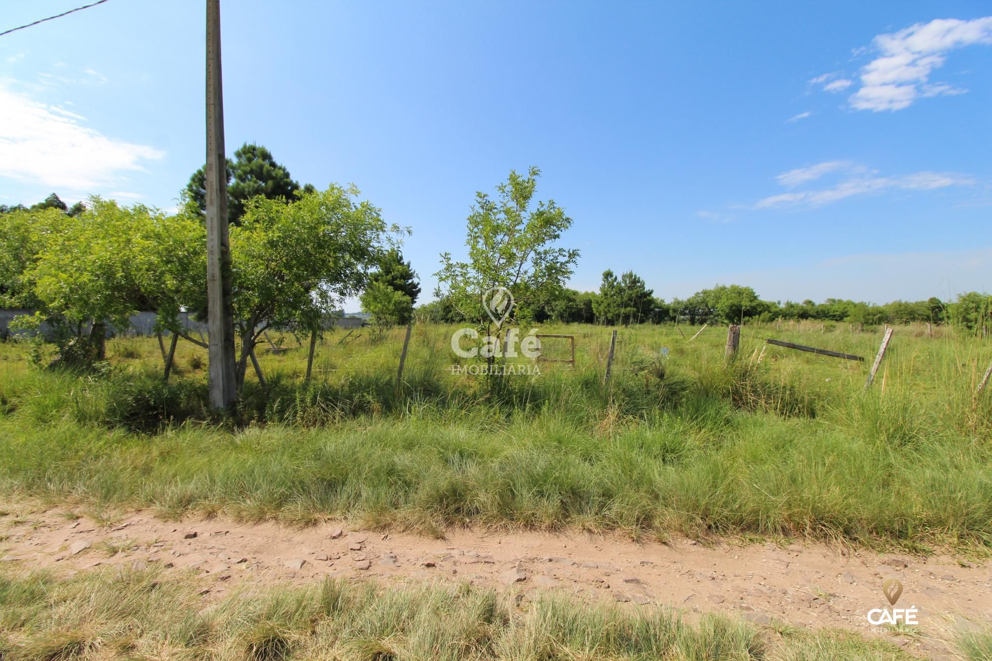 Terreno, 1 hectares - Foto 7