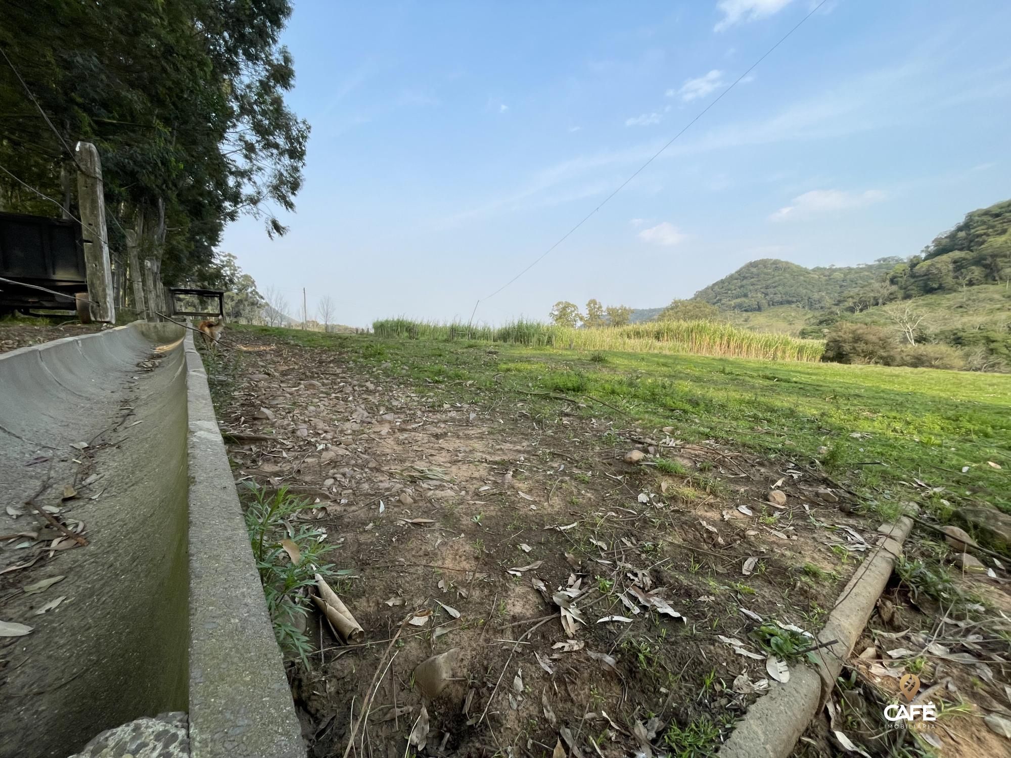 Fazenda à venda com 4 quartos, 240000m² - Foto 45