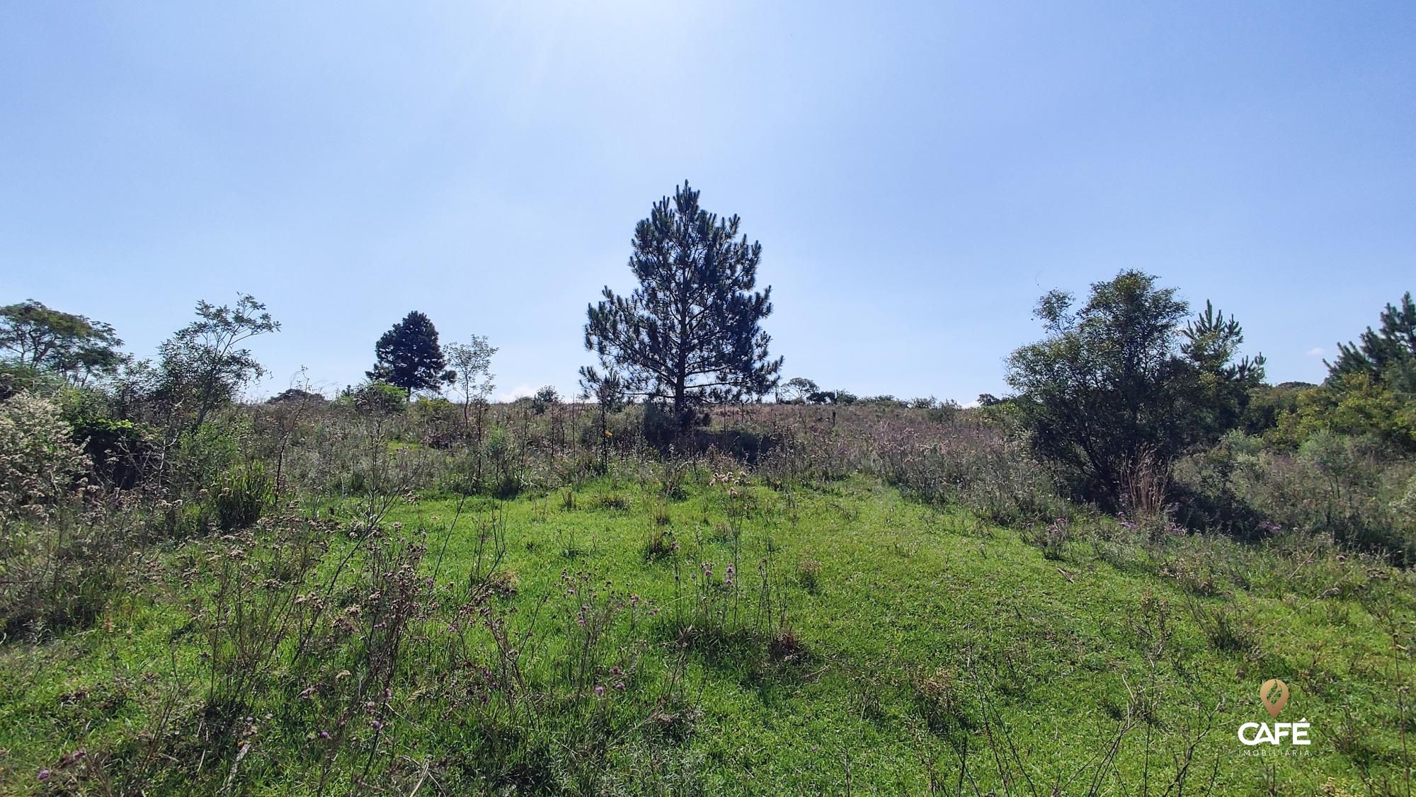Loteamento e Condomínio, 165200 hectares - Foto 6