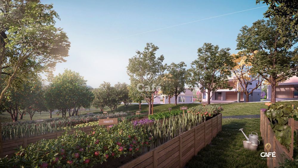 Terreno, 540 m² - Foto 7