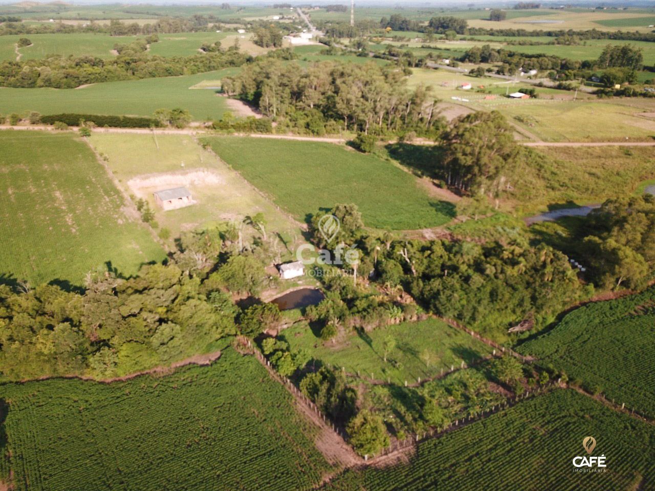 Terreno à venda, 10000m² - Foto 2