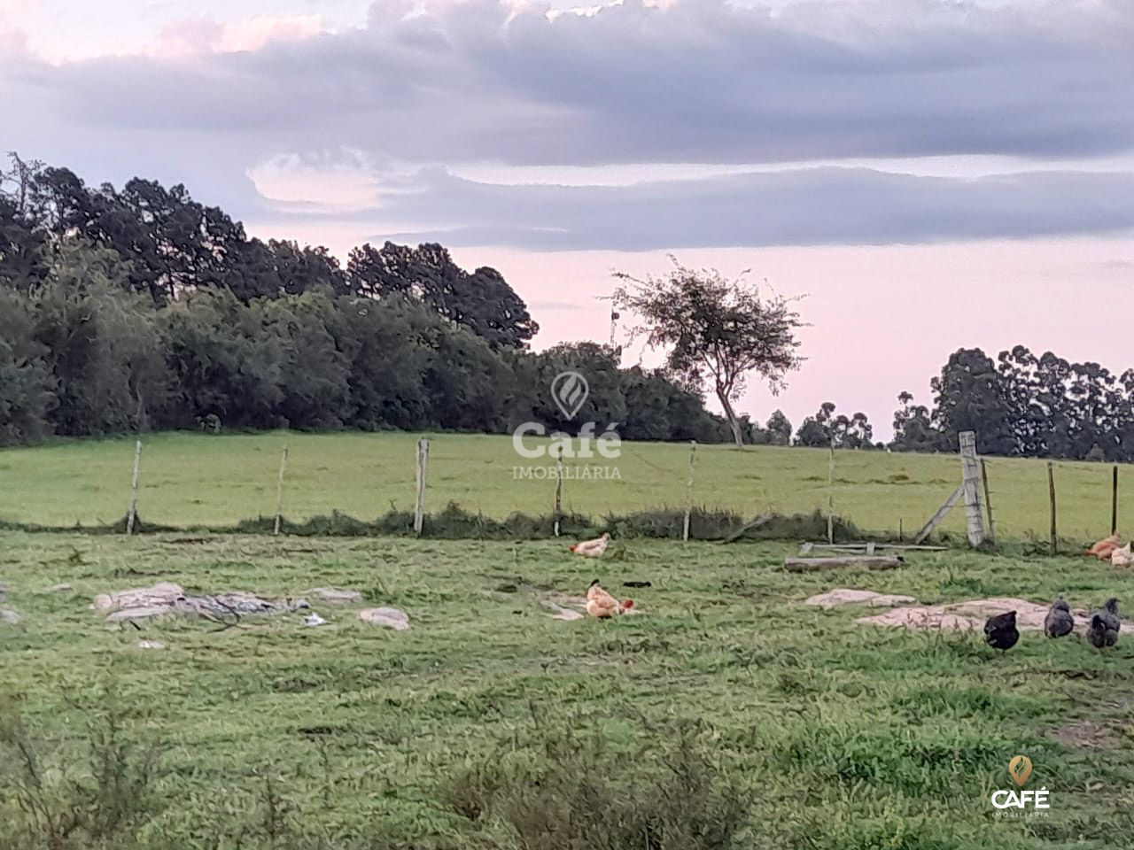 Fazenda à venda com 3 quartos, 96m² - Foto 7