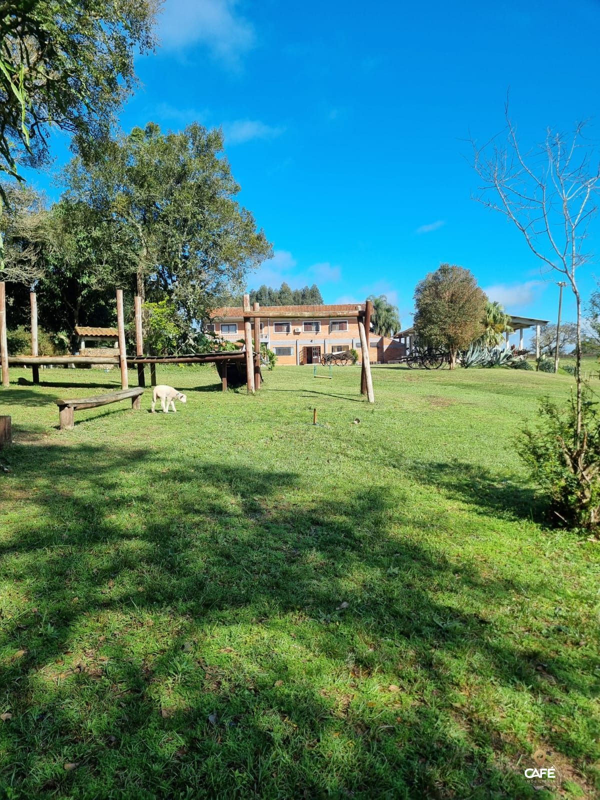 Fazenda à venda com 3 quartos, 200m² - Foto 7