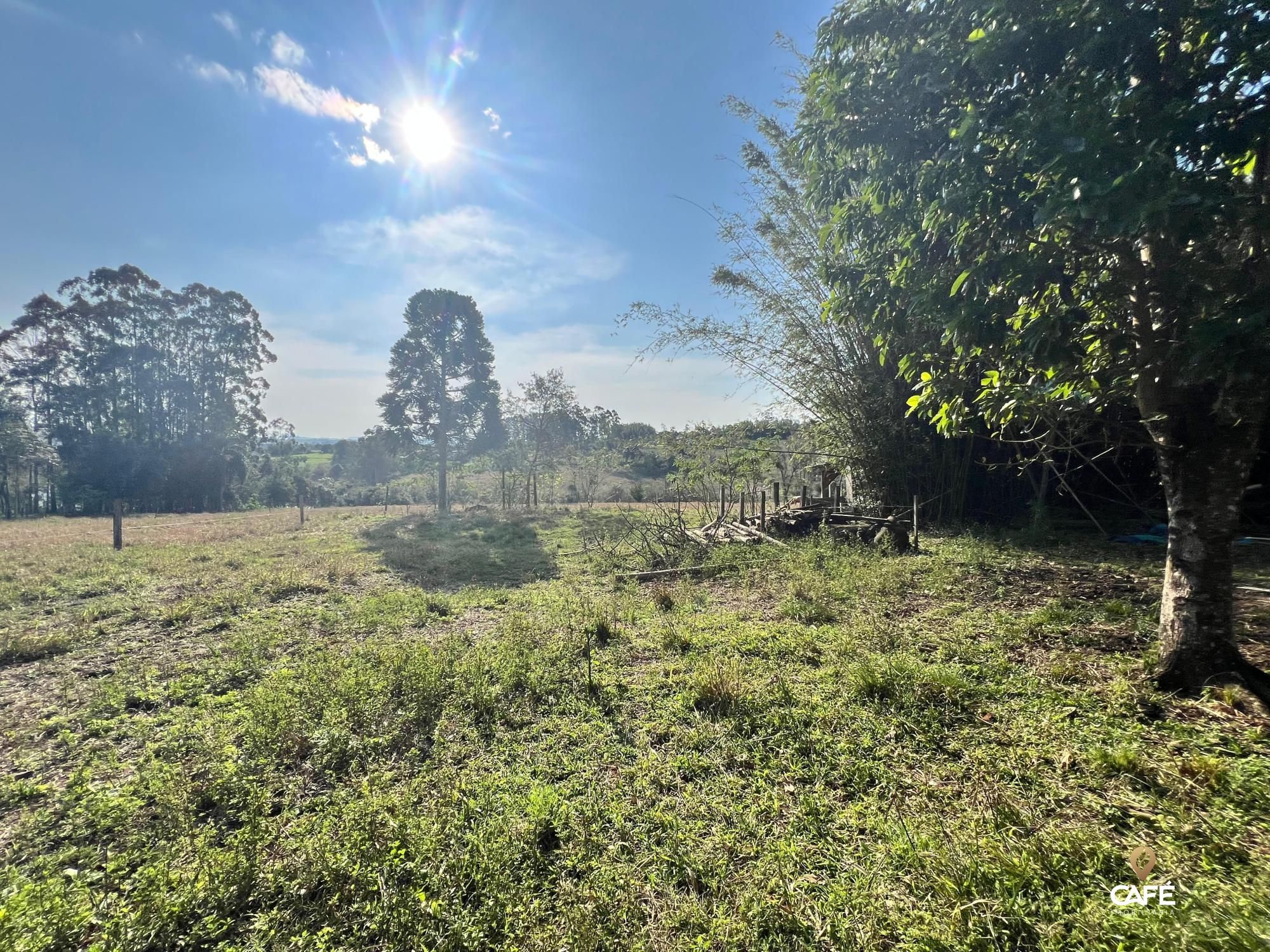 Chácara, 4 hectares - Foto 5