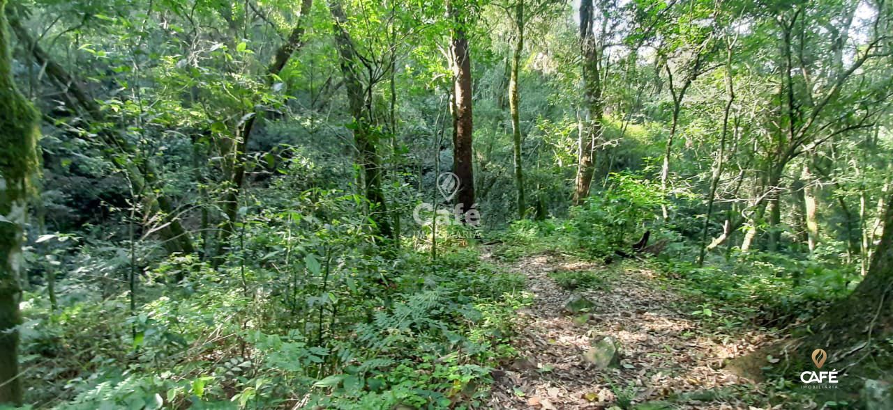 Terreno à venda, 40000m² - Foto 2