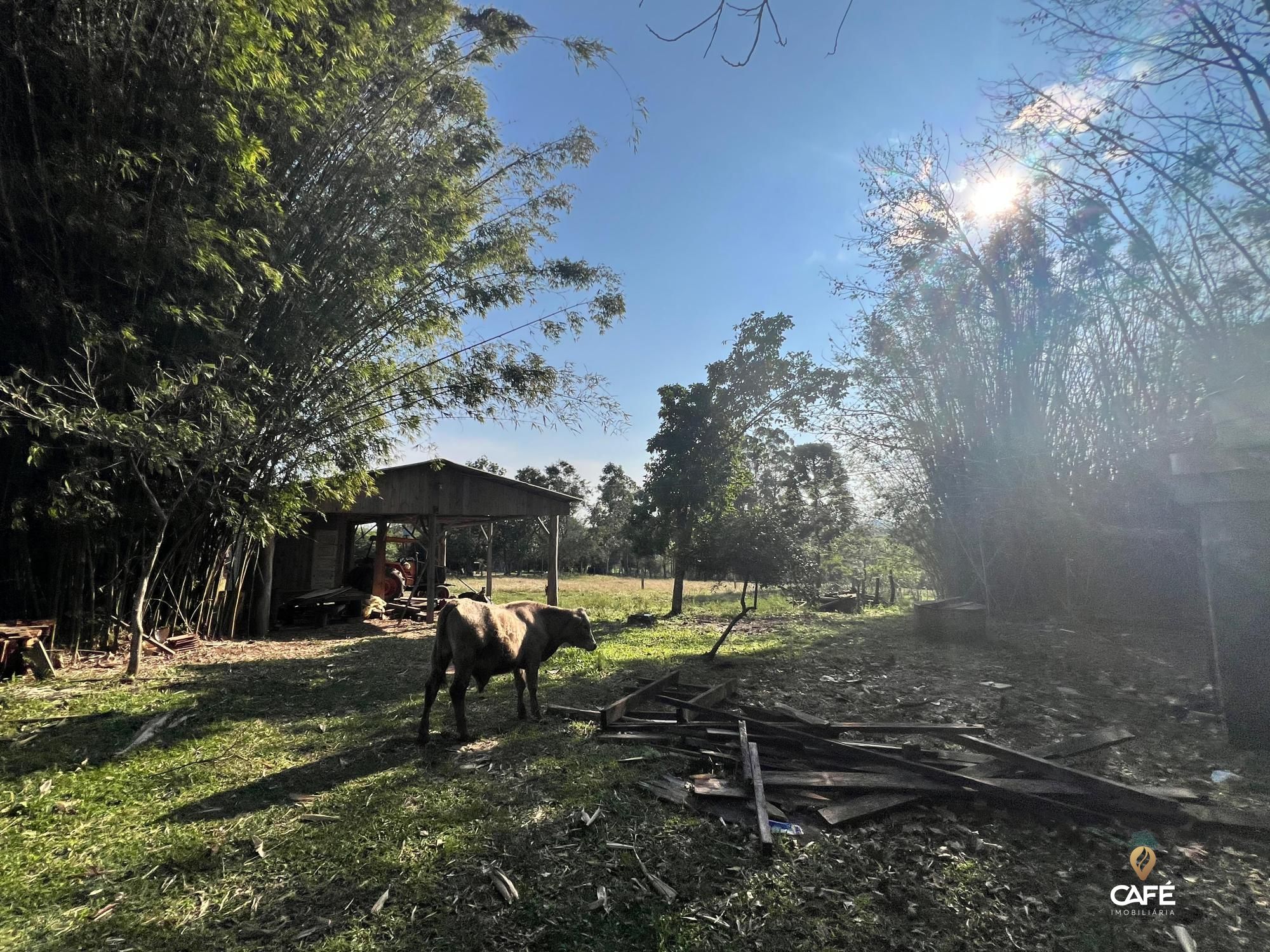 Fazenda à venda, 40m² - Foto 3