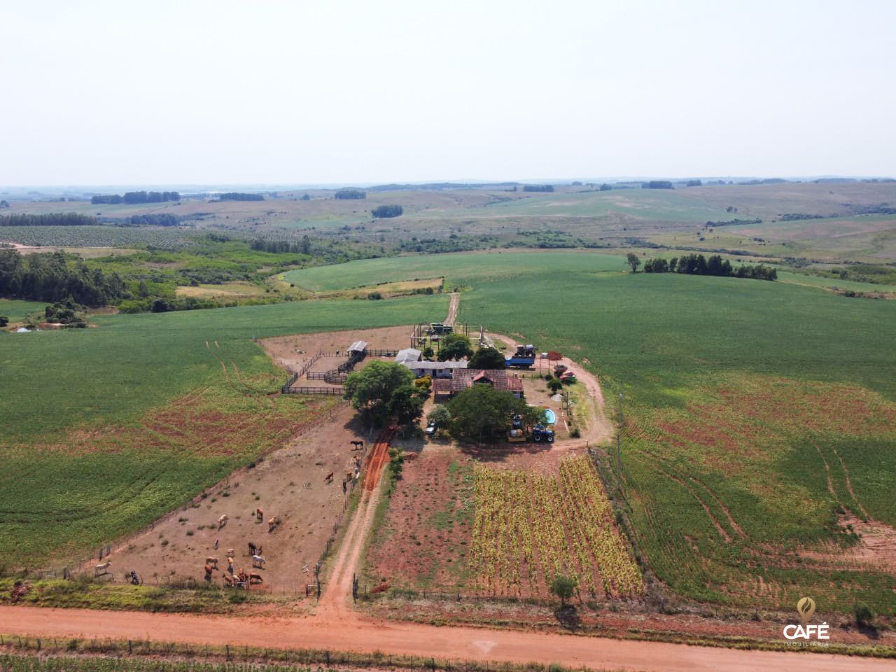 Fazenda à venda com 3 quartos, 186m² - Foto 6