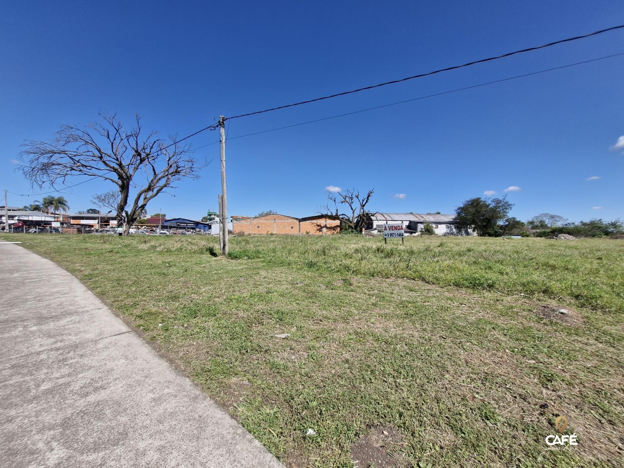 Terreno, 1 hectares - Foto 4