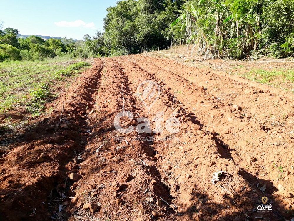 Fazenda à venda com 3 quartos, 110m² - Foto 12