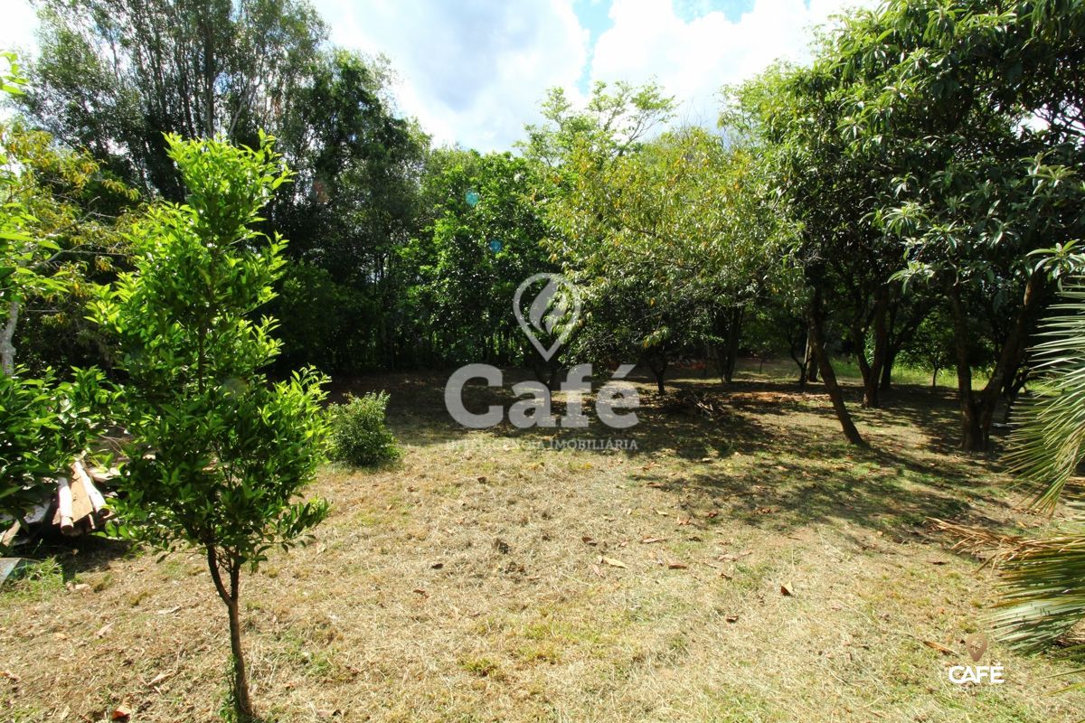 Chácara à venda com 2 quartos, 25000m² - Foto 15
