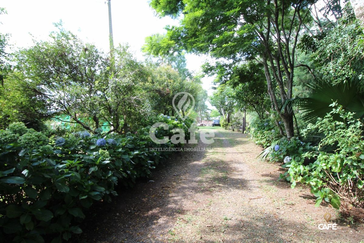 Chácara à venda com 2 quartos, 25000m² - Foto 6