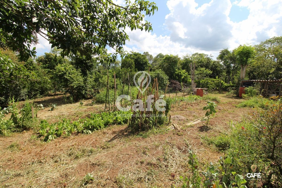 Chácara à venda com 2 quartos, 25000m² - Foto 7