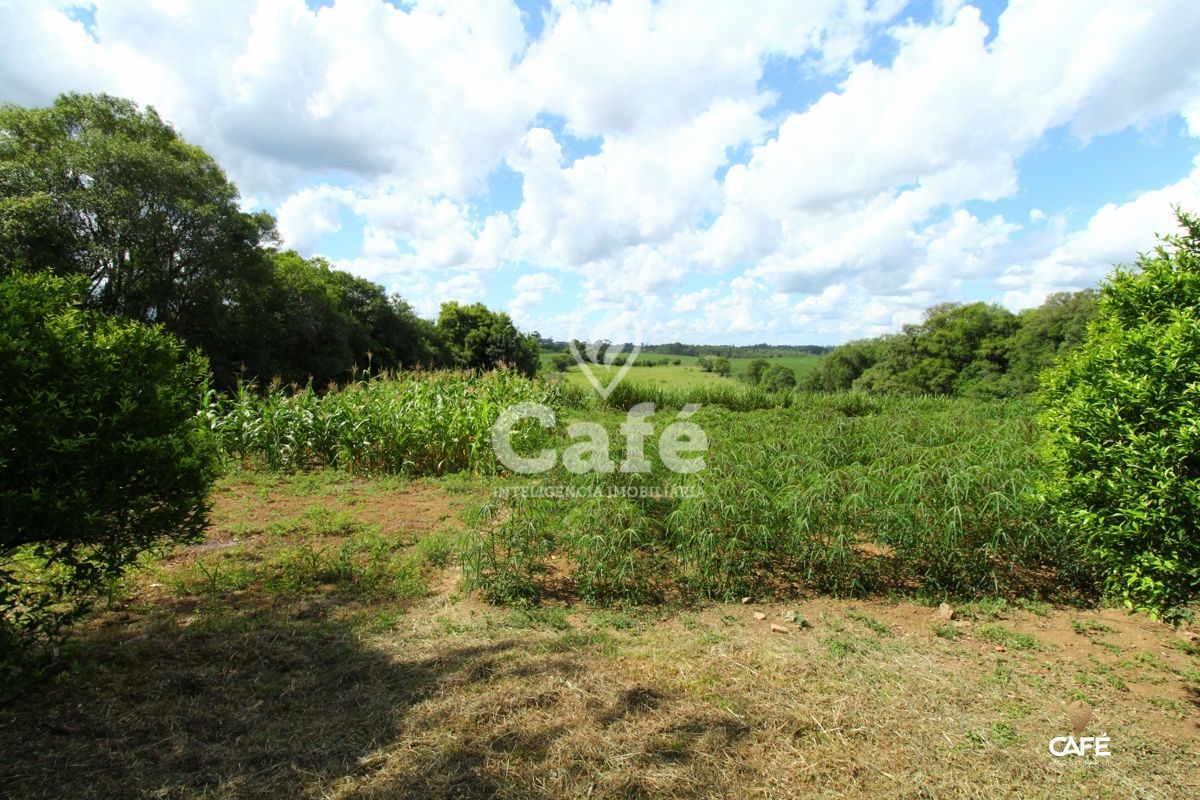 Chácara à venda com 2 quartos, 25000m² - Foto 16