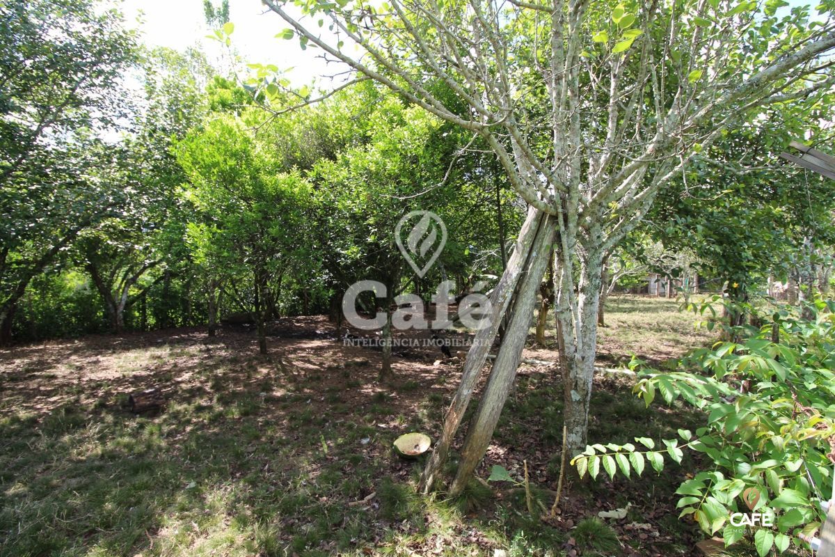 Chácara à venda com 2 quartos, 25000m² - Foto 11