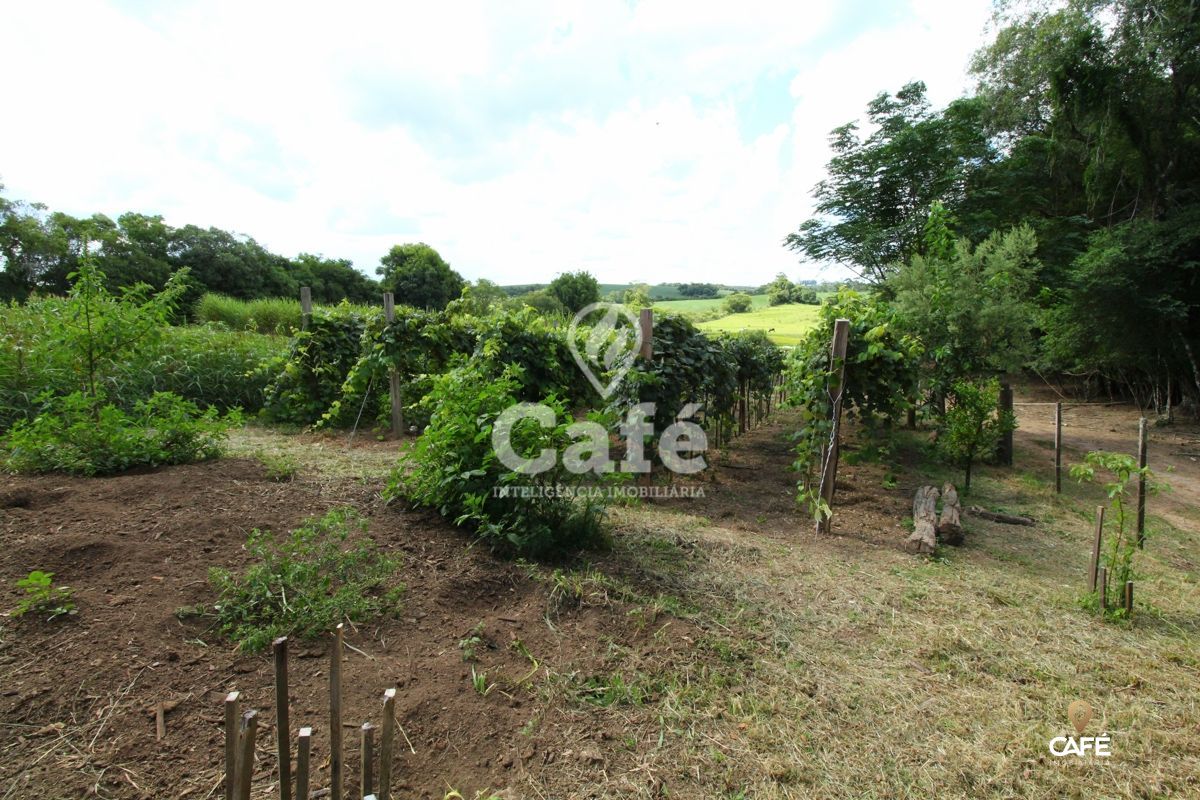 Chácara à venda com 2 quartos, 25000m² - Foto 23