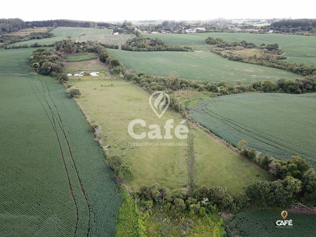 Chácara à venda com 2 quartos, 25000m² - Foto 29