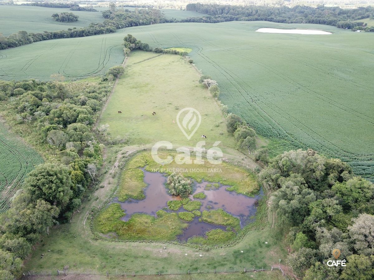 Chácara à venda com 2 quartos, 25000m² - Foto 27