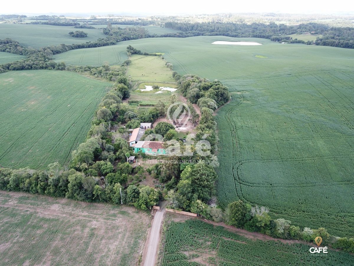 Chácara à venda com 2 quartos, 25000m² - Foto 1
