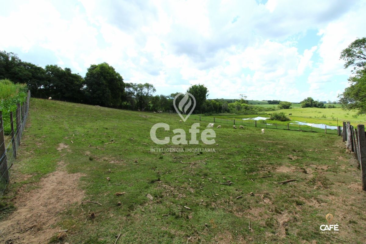 Chácara à venda com 2 quartos, 25000m² - Foto 24