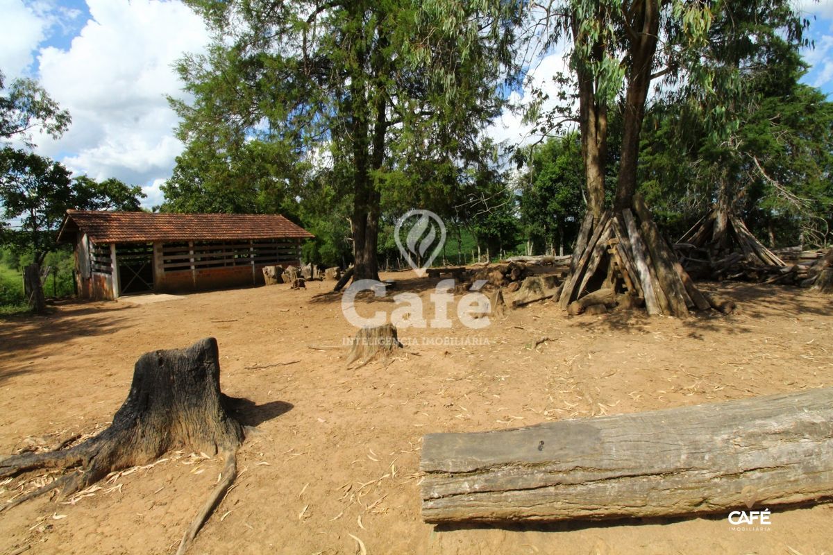 Chácara à venda com 2 quartos, 25000m² - Foto 20