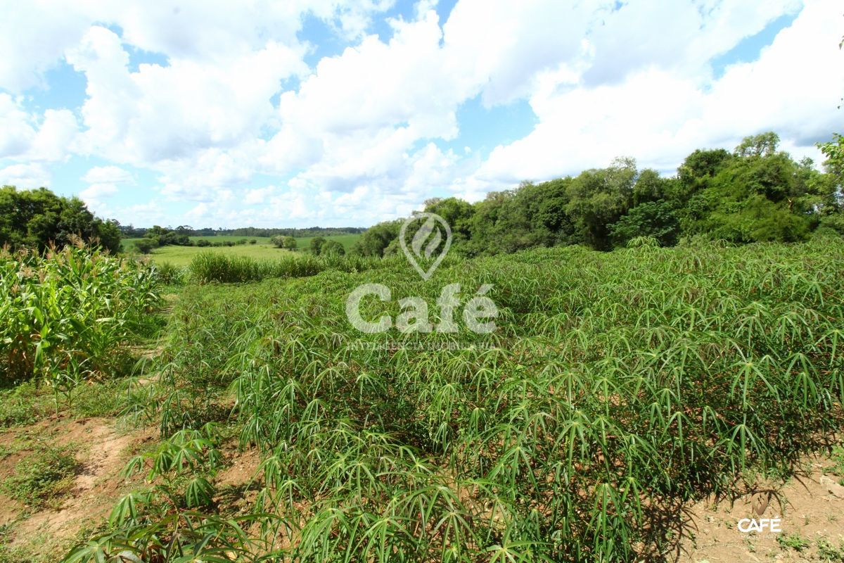 Chácara à venda com 2 quartos, 25000m² - Foto 17