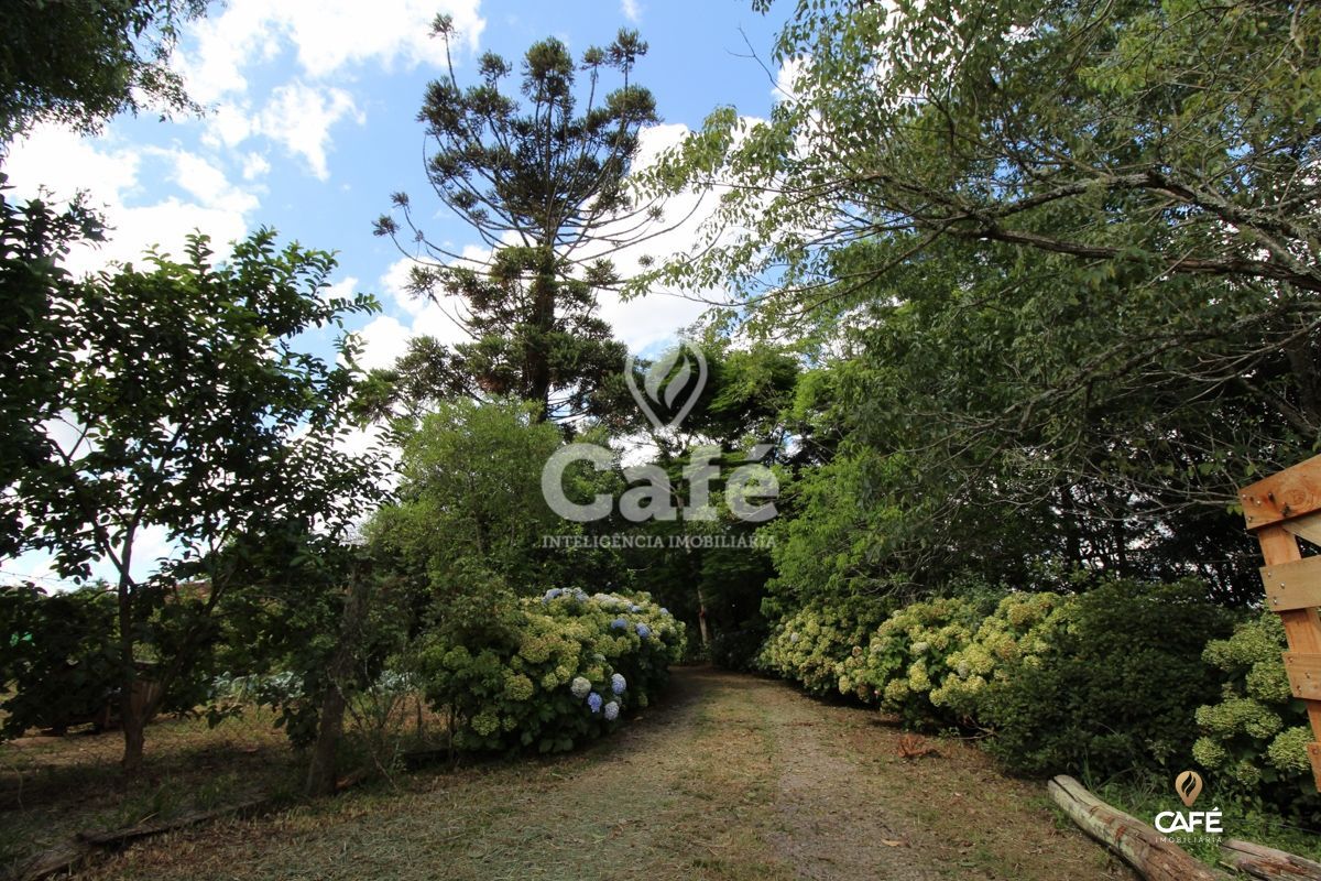 Chácara à venda com 2 quartos, 25000m² - Foto 5