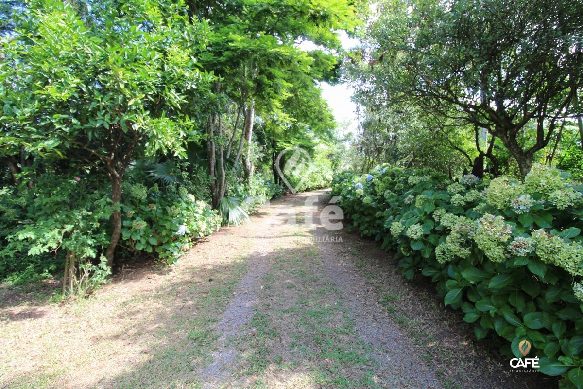 Chácara à venda com 2 quartos, 25000m² - Foto 4