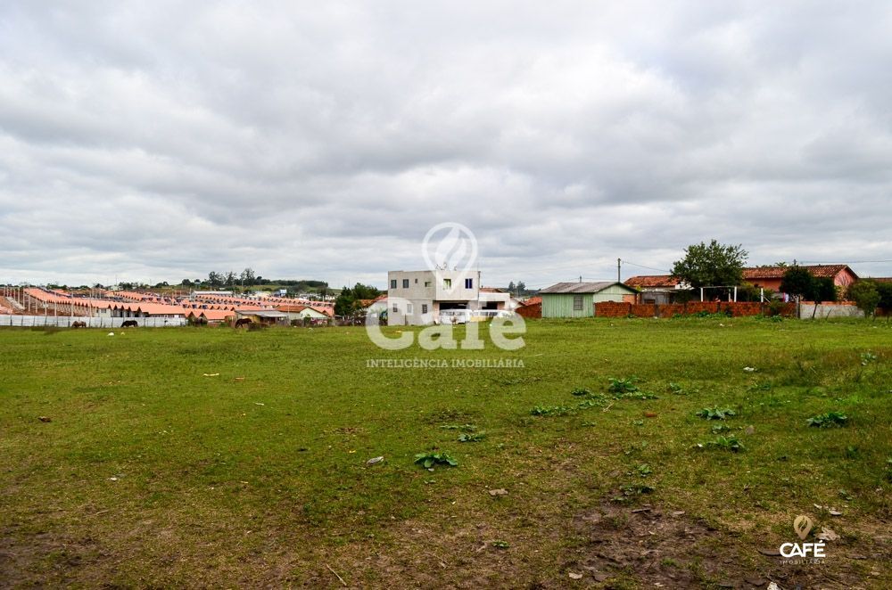 Terreno à venda, 19954m² - Foto 6