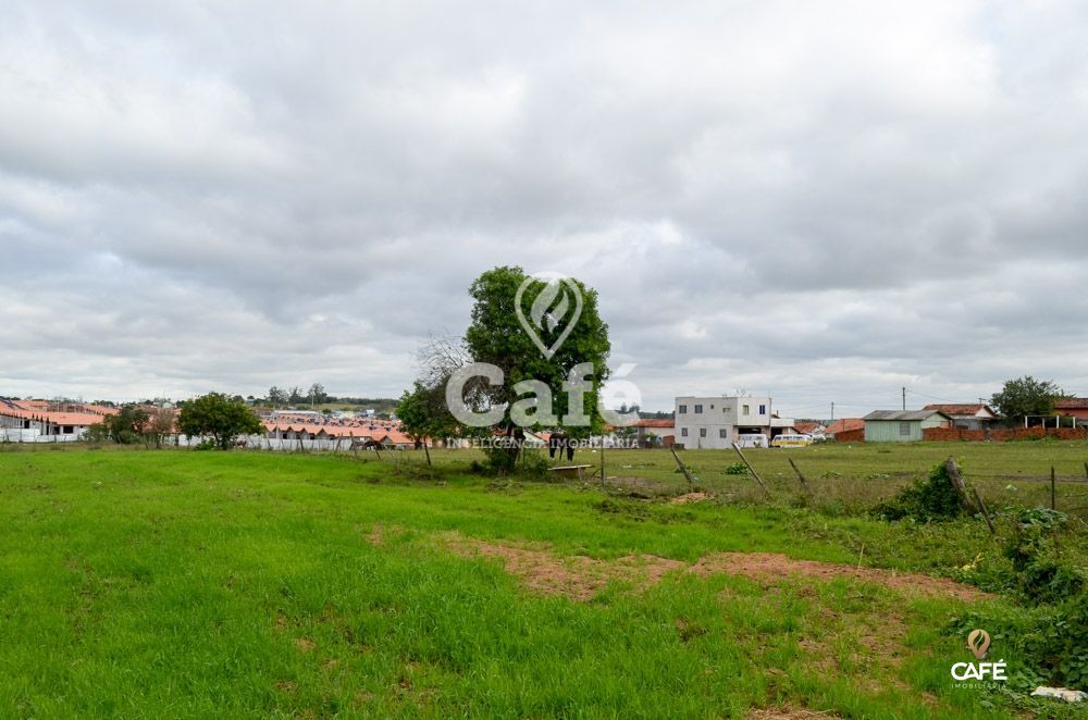 Terreno à venda, 19954m² - Foto 4