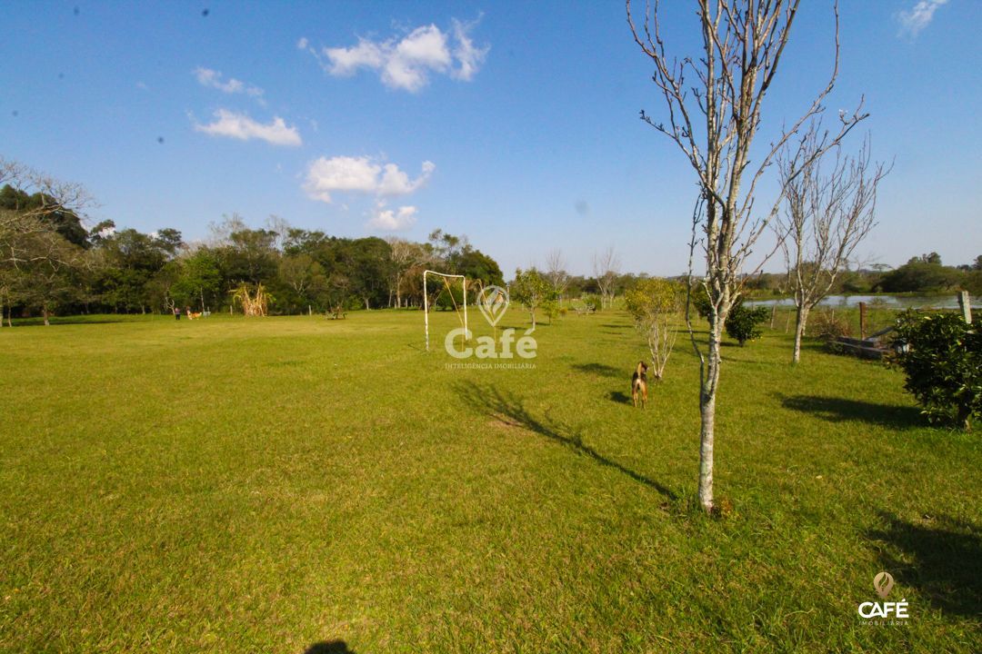 Fazenda à venda com 2 quartos, 8000m² - Foto 6