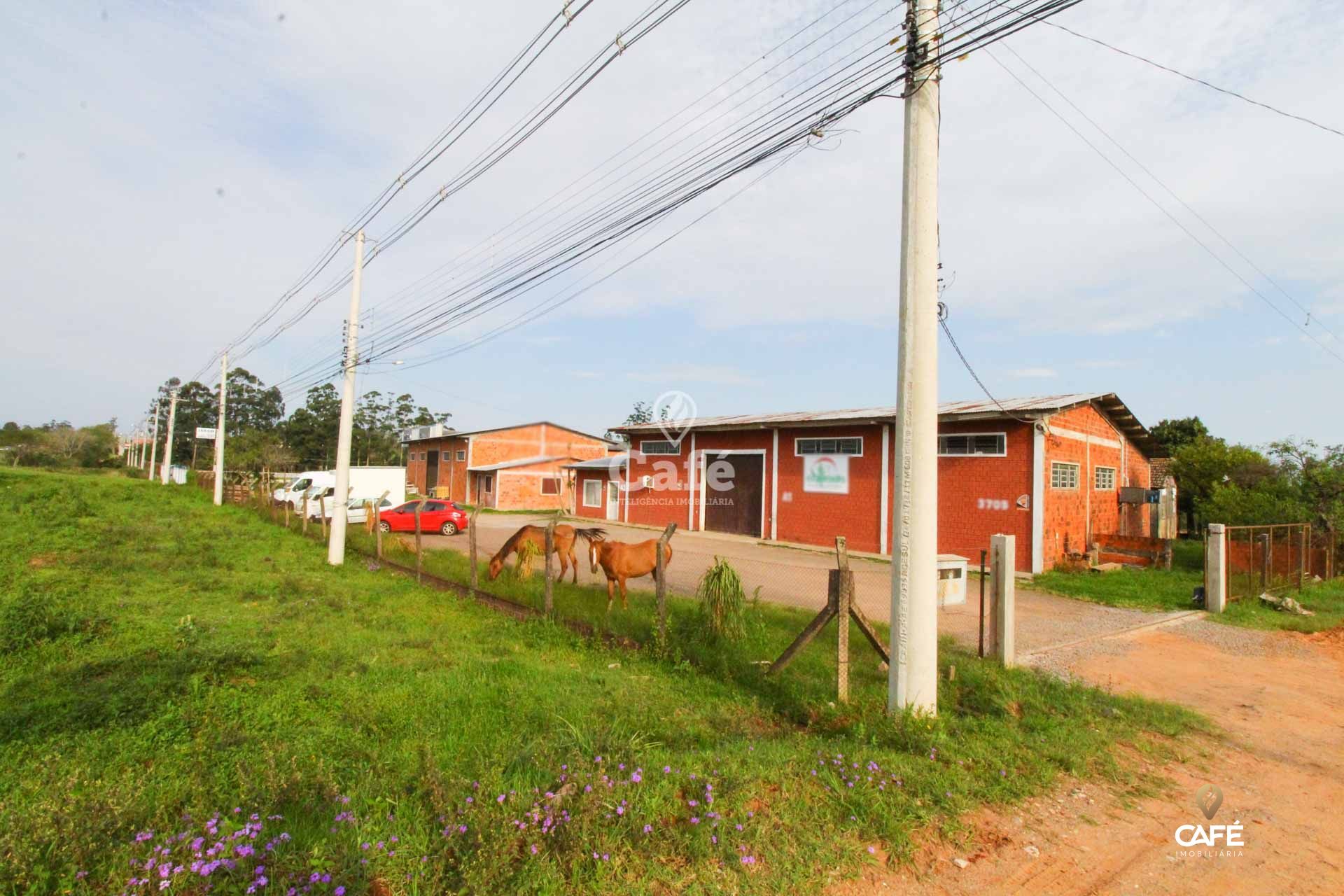 Terreno, 3500 m² - Foto 3