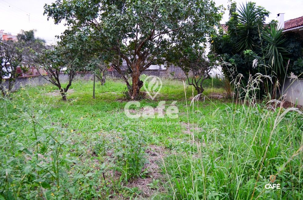 Casa, 3 quartos, 215 m² - Foto 38