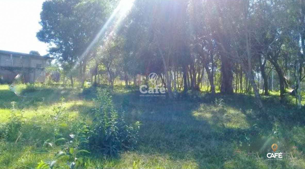 Terreno, 3000 m² - Foto 5