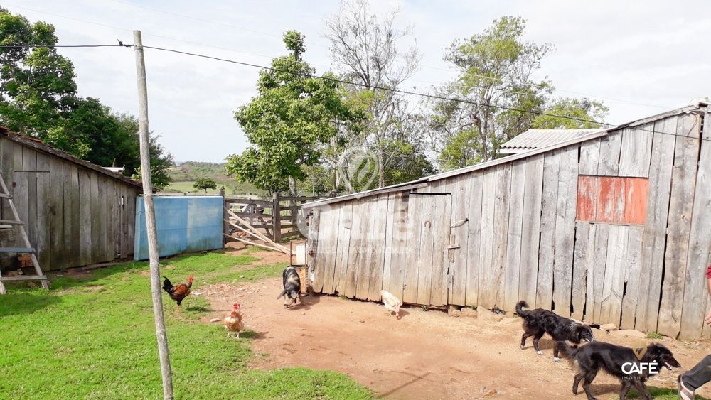 Sítio à venda com 3 quartos, 150000m² - Foto 23
