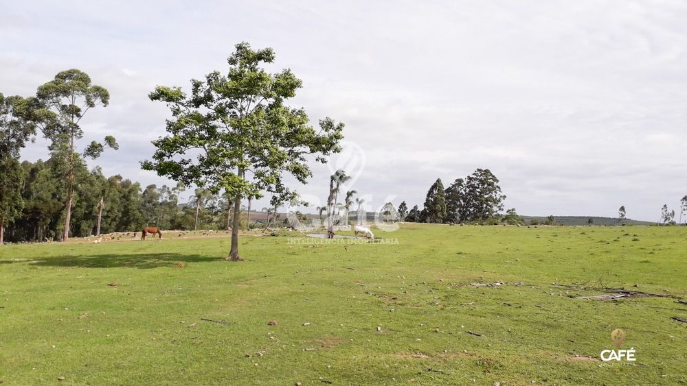 Sítio à venda com 3 quartos, 150000m² - Foto 27